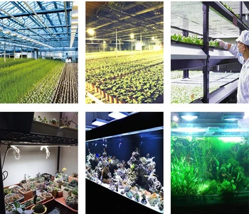 2022 НОВ мощен завод интегрирани лампи мъниста 50W7 група на растежа на растенията led лампи мъниста